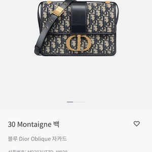 디올 몽테인 오블리크