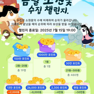 틱톡라이트 소원꽃 4개 개당 800원에 판매합니다