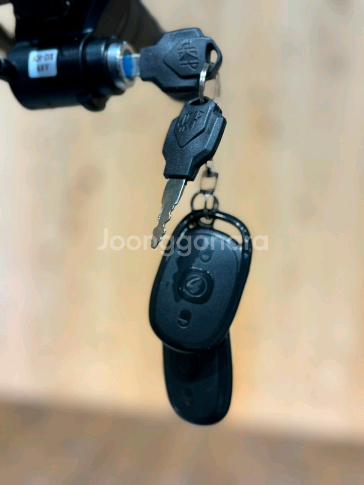 X-RIDER 전기자전거 X200 Pro 48V 500--8