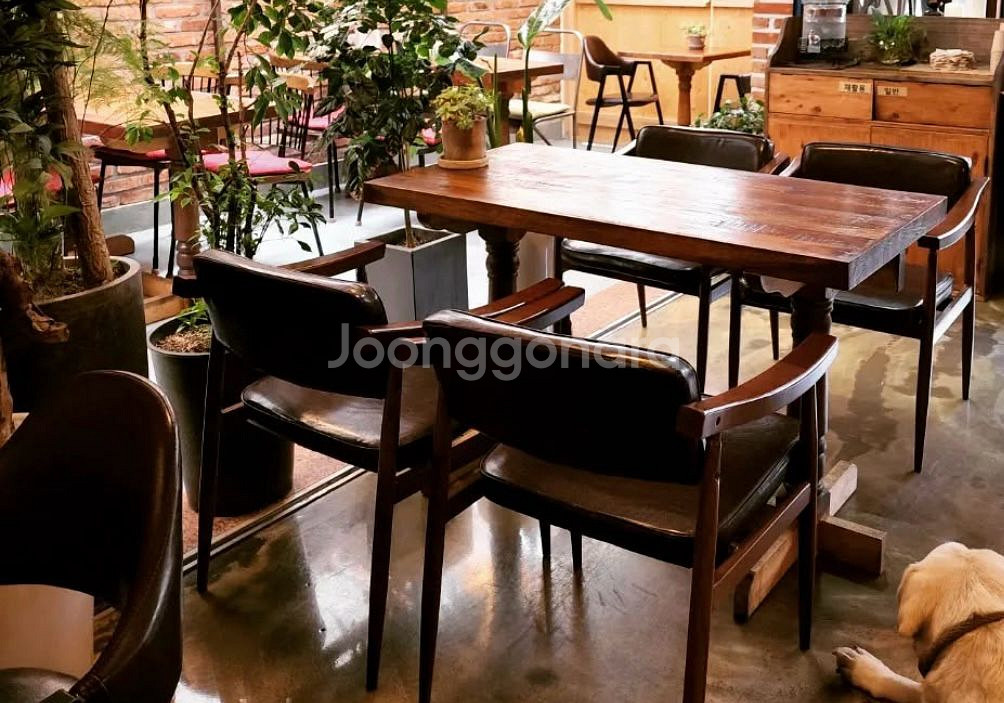 테이블. 의자. 실내 조명--1
