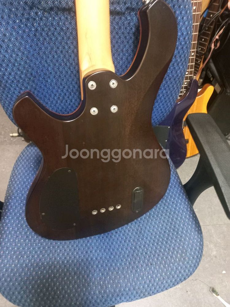 데임 폴앤폴 250베이스기타--5