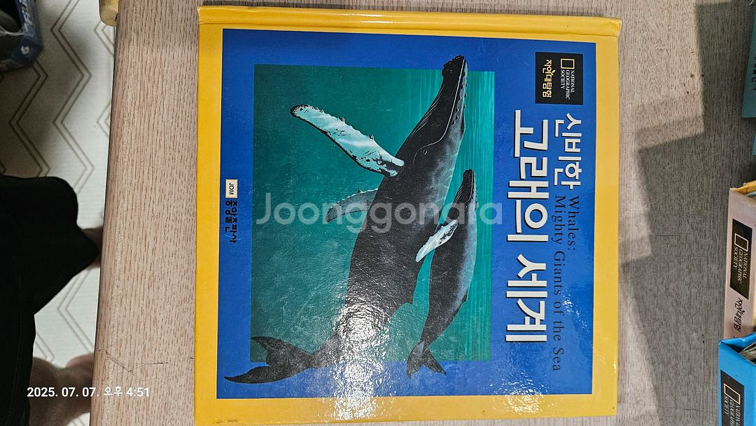 내셔널지오그래픽 자연대탐험 팝업북--2