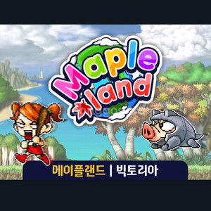 메랜 메이플랜드 2900:1 50통 팔아요