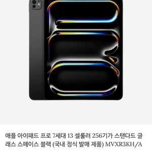 아이패드 프로7 13인치 256g 셀룰러 미개봉