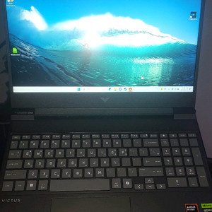 HP 빅터스 15 라이젠 8945HS 4060