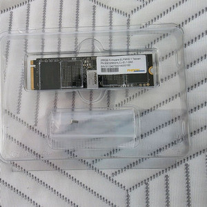 파이슨 ESO256GHLCJ-EL1 256G SSD