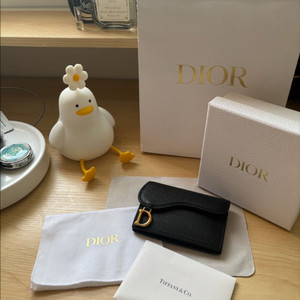 DIOR 새들 카드지갑 블랙