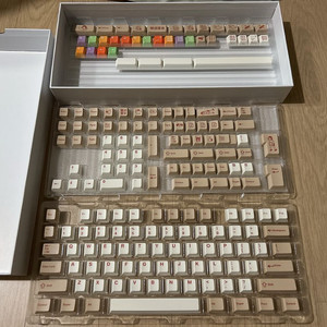(미사용)FBB Hard Typing pbt 키캡