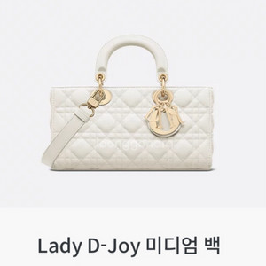 레이디올디조이 미디엄백