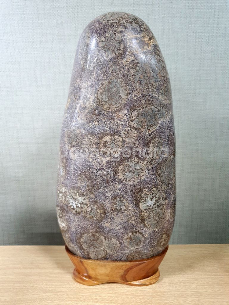 수석 돌 청송 꽃돌 국화--0