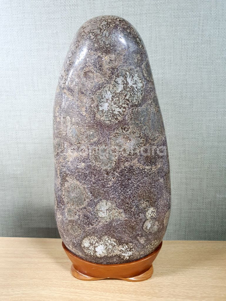 수석 돌 청송 꽃돌 국화--1