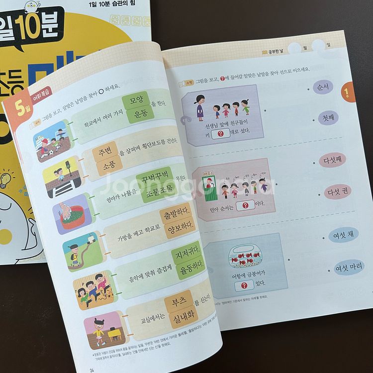 초등메가어휘력(예비초등) 택포--1
