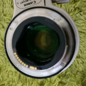 캐논 ef70-200 구아빠백통