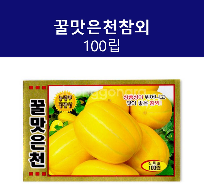 꿀맛은천참외 100립 과일씨앗--0