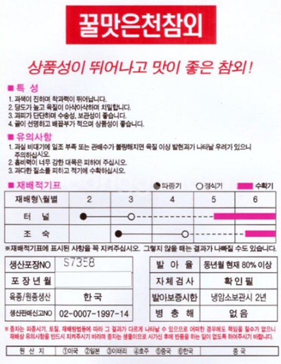 꿀맛은천참외 100립 과일씨앗--1