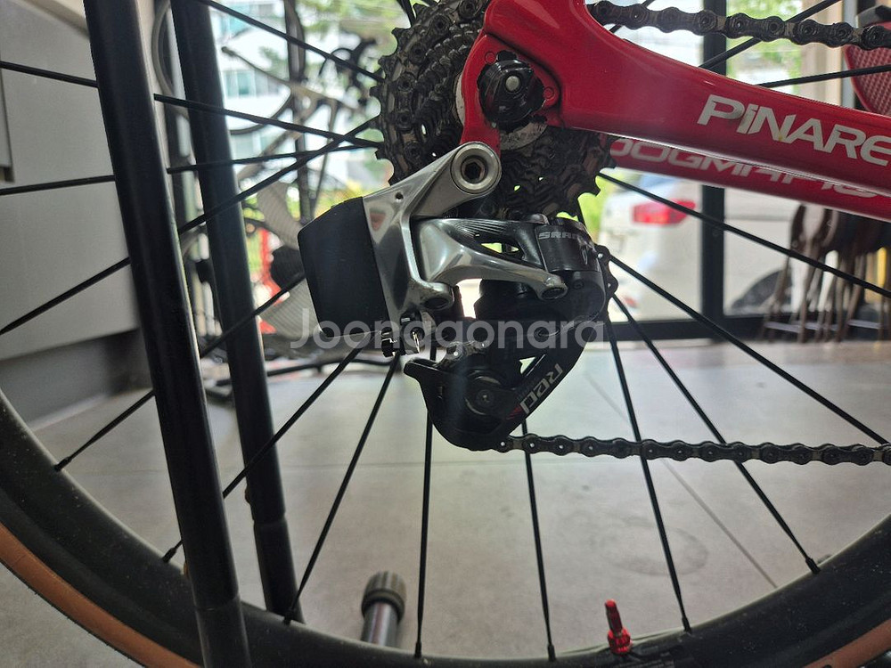 피나렐로 도그마 f10--3