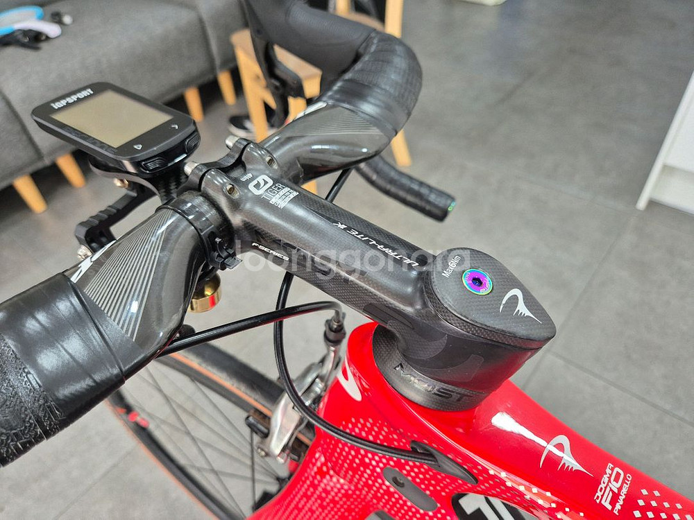 피나렐로 도그마 f10--5