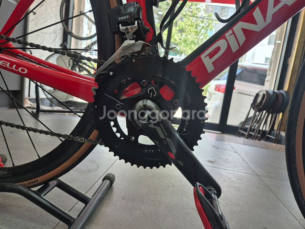 피나렐로 도그마 f10--2