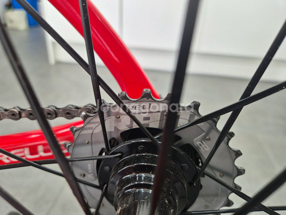 피나렐로 도그마 f10--4