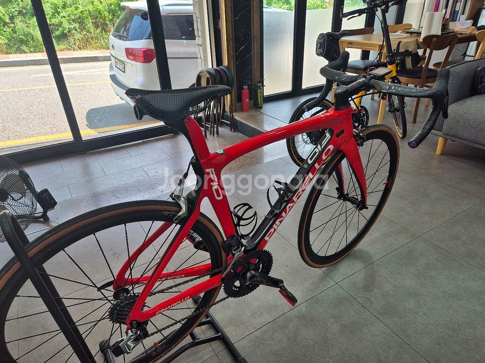 피나렐로 도그마 f10--7