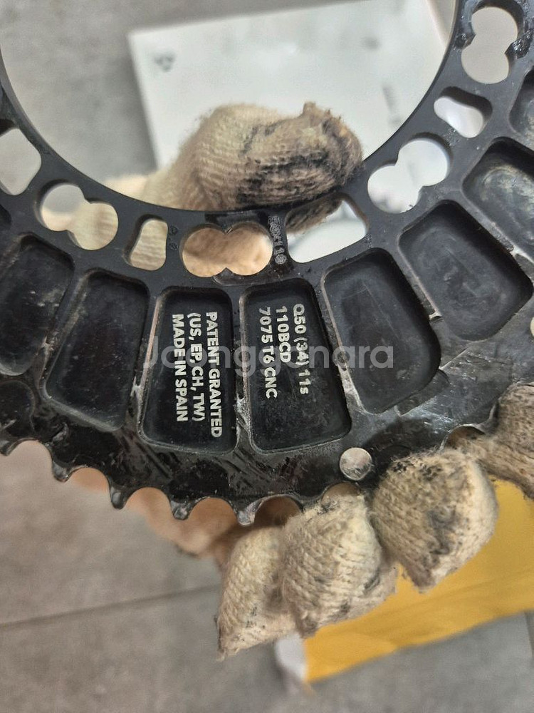 피나렐로 도그마 f10--9