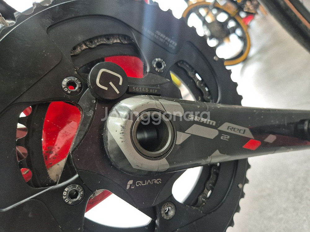 피나렐로 도그마 f10--6