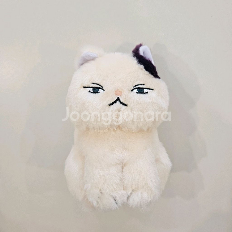 도토리숲 지브리 귀를기울이면 문 고양이 인형--1