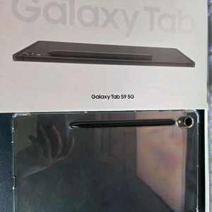 갤럭시 탭 S9 5G 256기가 SM-X716N