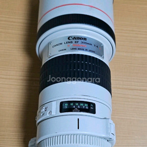 캐논 EF 300mm F4 L 렌즈 팝니다