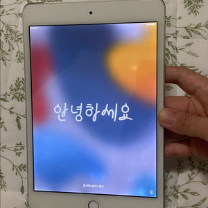 아이패드 미니 4세대 iPad mini 64GB 실버