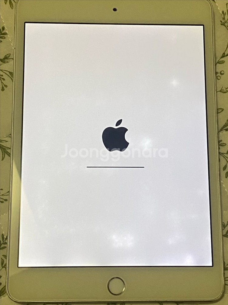 아이패드 미니 4세대 iPad mini 64GB 실버--6