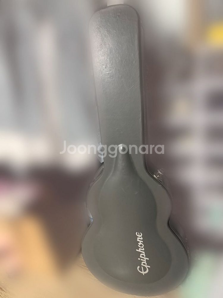 에피폰 기타 하드 케이스--0