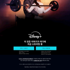 디즈니플러스 일년 같이 하실분 !