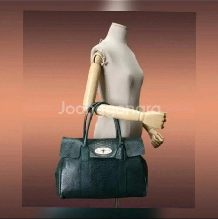 멀버리 가방 파이톤 베이스워터 정품--0