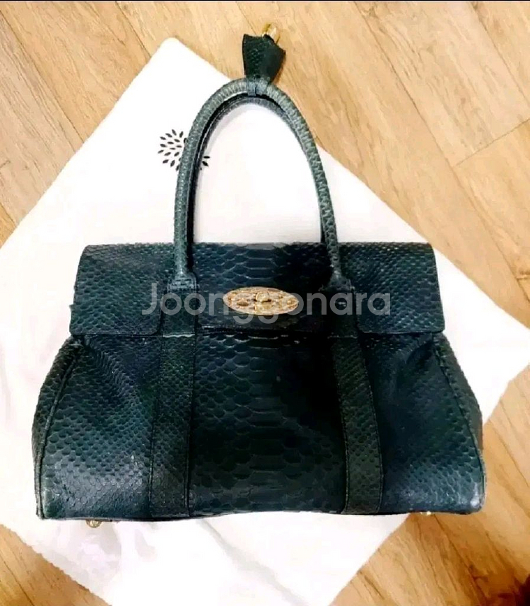멀버리 가방 파이톤 베이스워터 정품--1