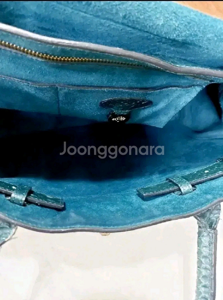 멀버리 가방 파이톤 베이스워터 정품--4
