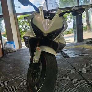 혼다 CBR650R 풀배기 국내 유일 육반 끝판왕