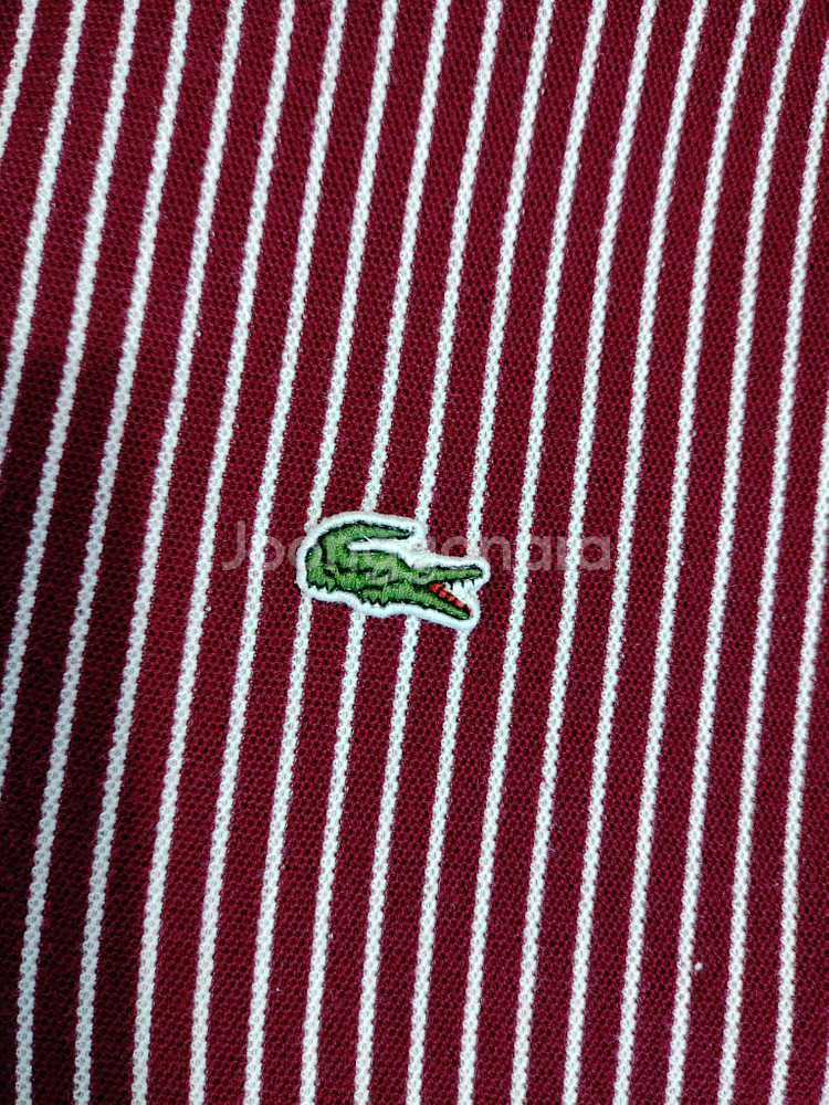 LACOSTE 라코스테 버건디 잔스트라이프 반팔 면니트--2