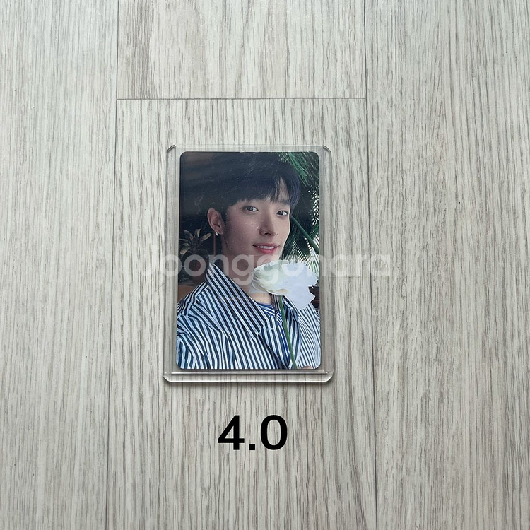 세븐틴 해피엔딩 캐럿반 도겸 포카 양도--0