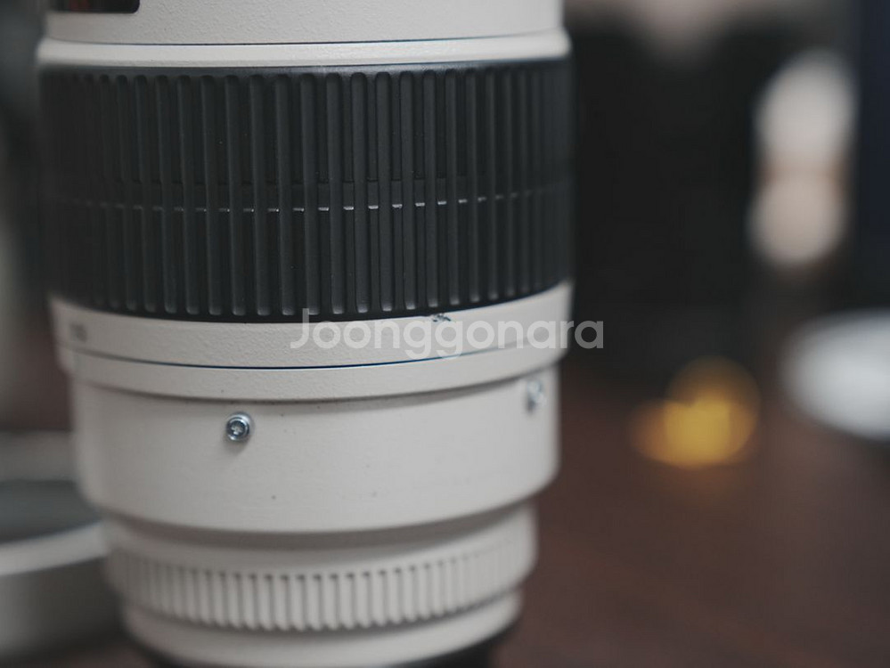 캐논 EF 70-200mm F2.8 렌즈 엄마백통--5