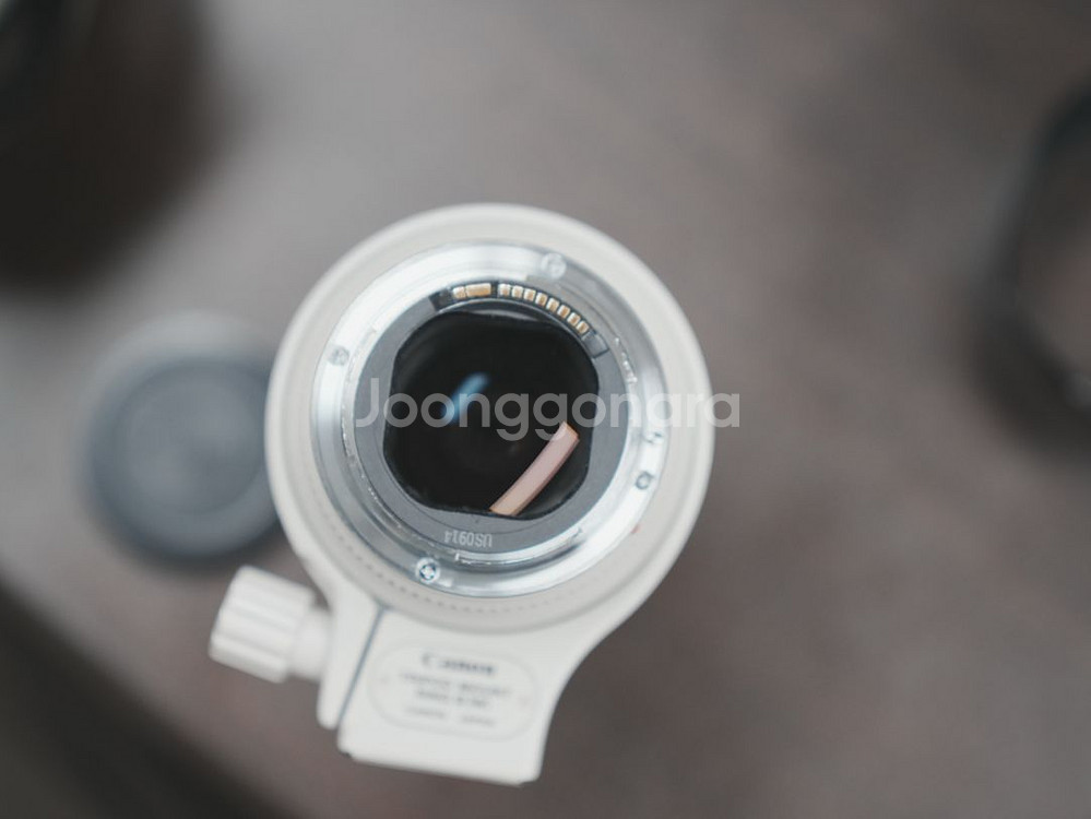 캐논 EF 70-200mm F2.8 렌즈 엄마백통--3