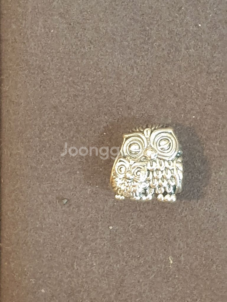 판도라 참 Charm 925실버 2--1