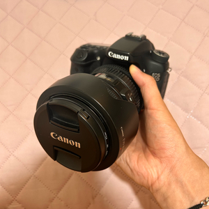 캐논 70d, 24-105 f4L 렌즈 판매
