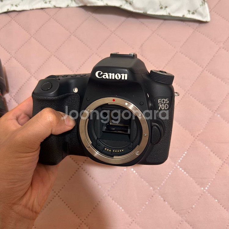 캐논 70d, 24-105 f4L 렌즈 판매--5