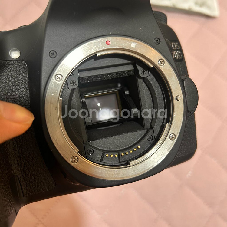 캐논 70d, 24-105 f4L 렌즈 판매--6