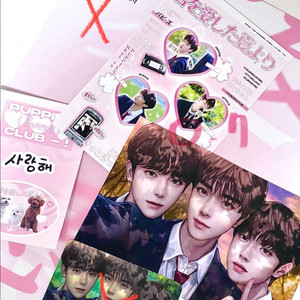 더보이즈 퍼피즈 엽서 양도 포카 특전 선우 현재 영훈