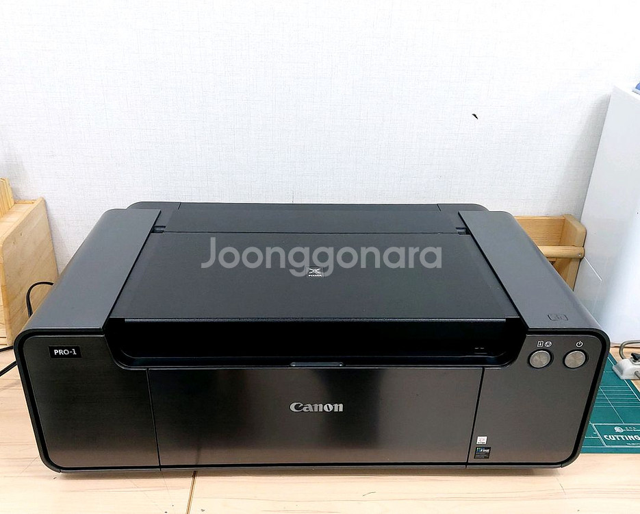 캐논 Canon pixma pro-1 전문가용 프린터--0