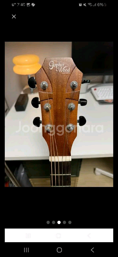 고퍼우드 g100 판매합니당--0