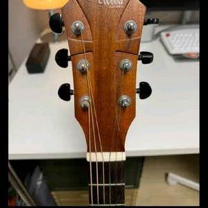 고퍼우드 g100 판매합니당