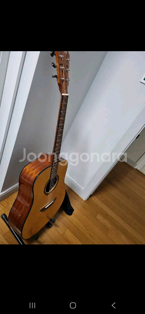 고퍼우드 g100 판매합니당--1